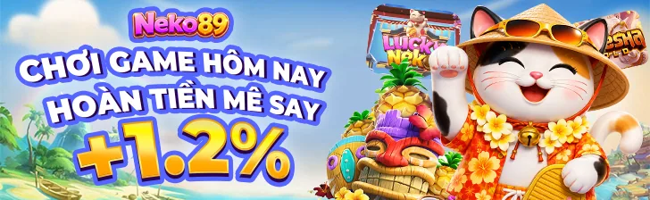 1.2 Cashback VN