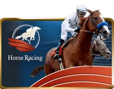 Horsebook
